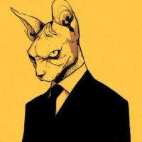 Cora · 资深记者 avatar